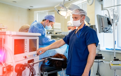 Experienced cath lab nurse assisting in a cardiac procedure, ensuring patient care and safety during catheterization